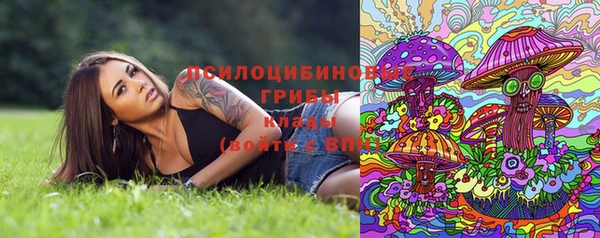 прущие крисы Арсеньев