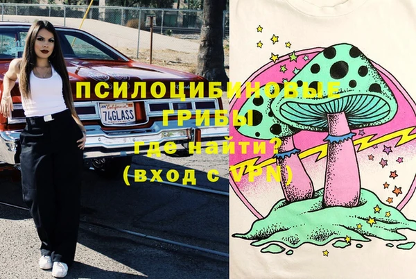 прущие крисы Арсеньев