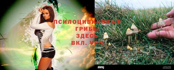 прущие крисы Арсеньев