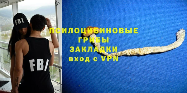 прущие крисы Арсеньев